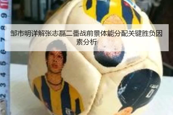 邹市明详解张志磊二番战前景体能分配关键胜负因素分析